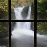 Ellerbrook House Гостевой дом 4*